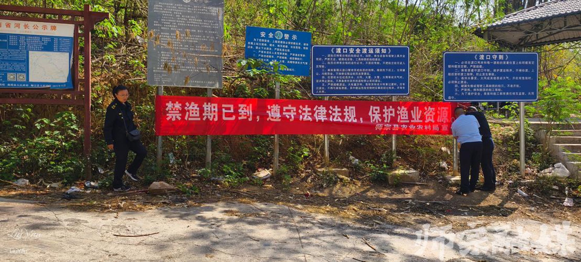 金鲵缘生物